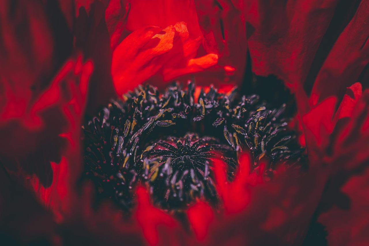 火柴人觉醒：怎么代理记账注册