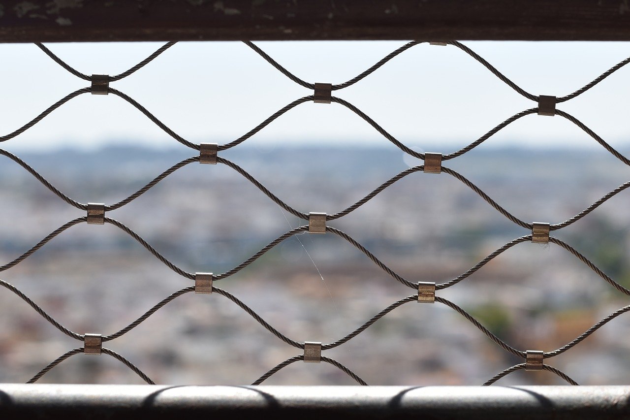 香烟对记忆和注意力的影响