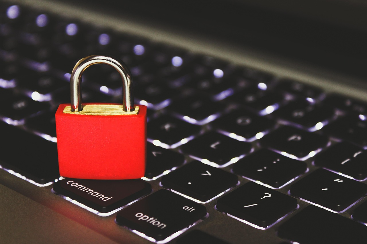 铁塔猫烟花葡萄珠(细):如何注册盒马鲜生店家账号