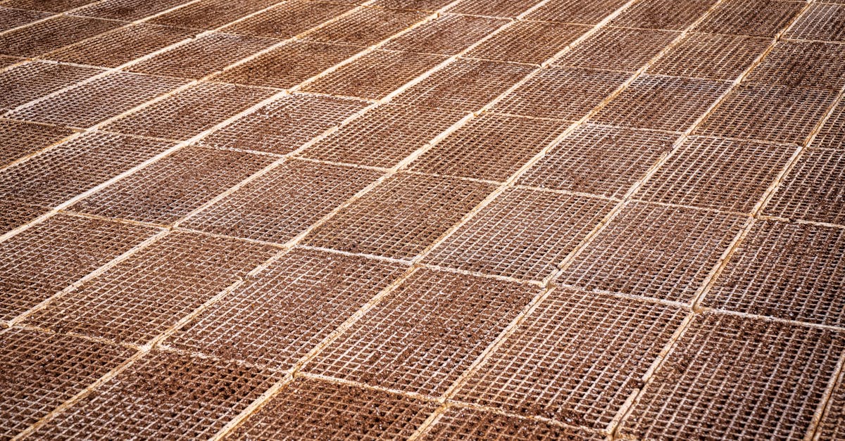 电销电话手机卡：美股券商平台开户要求