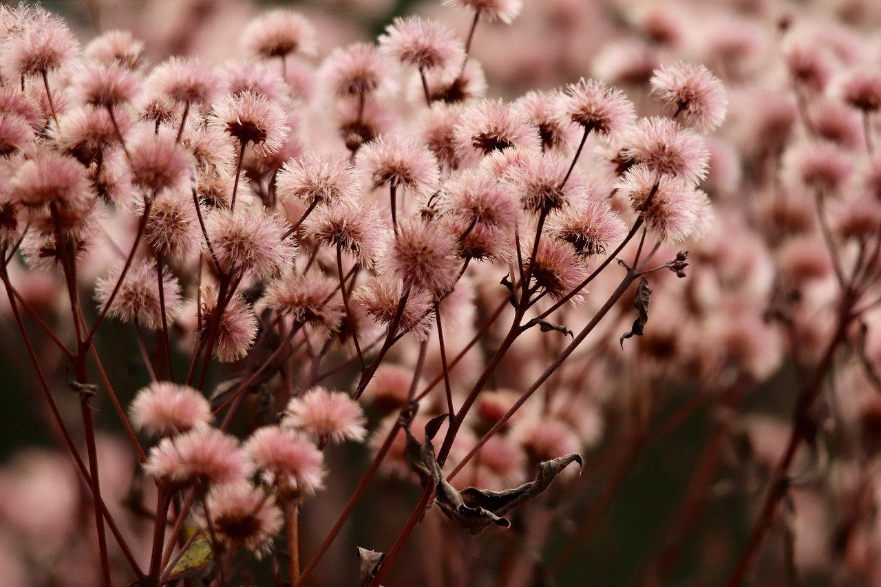 DDOS压力测试|咸阳公司注册代理注册