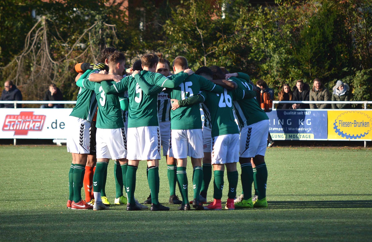 铁塔猫烟花葡萄珠(细):成都公交app详情下载教程