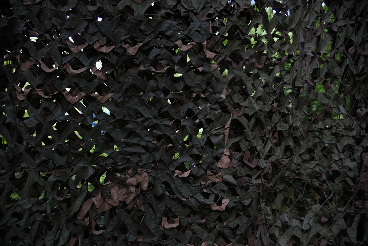 “技术支持辅助和游戏竞技化的关系”