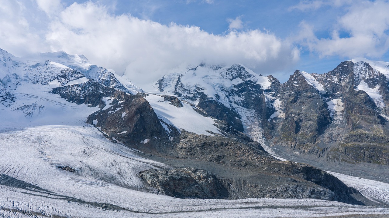 皇家88如何通过网络策略获得回流率