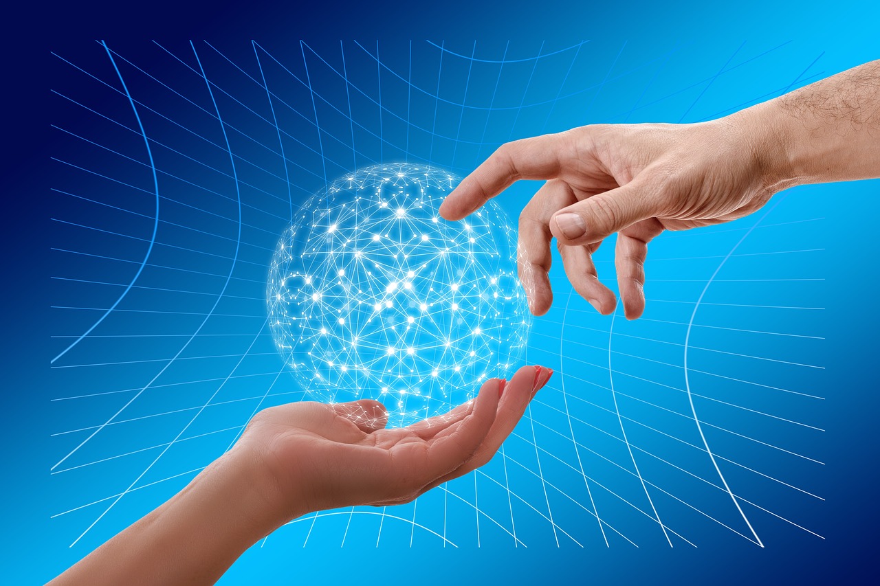 闲鱼实名账号：余杭区代理公司注册内容