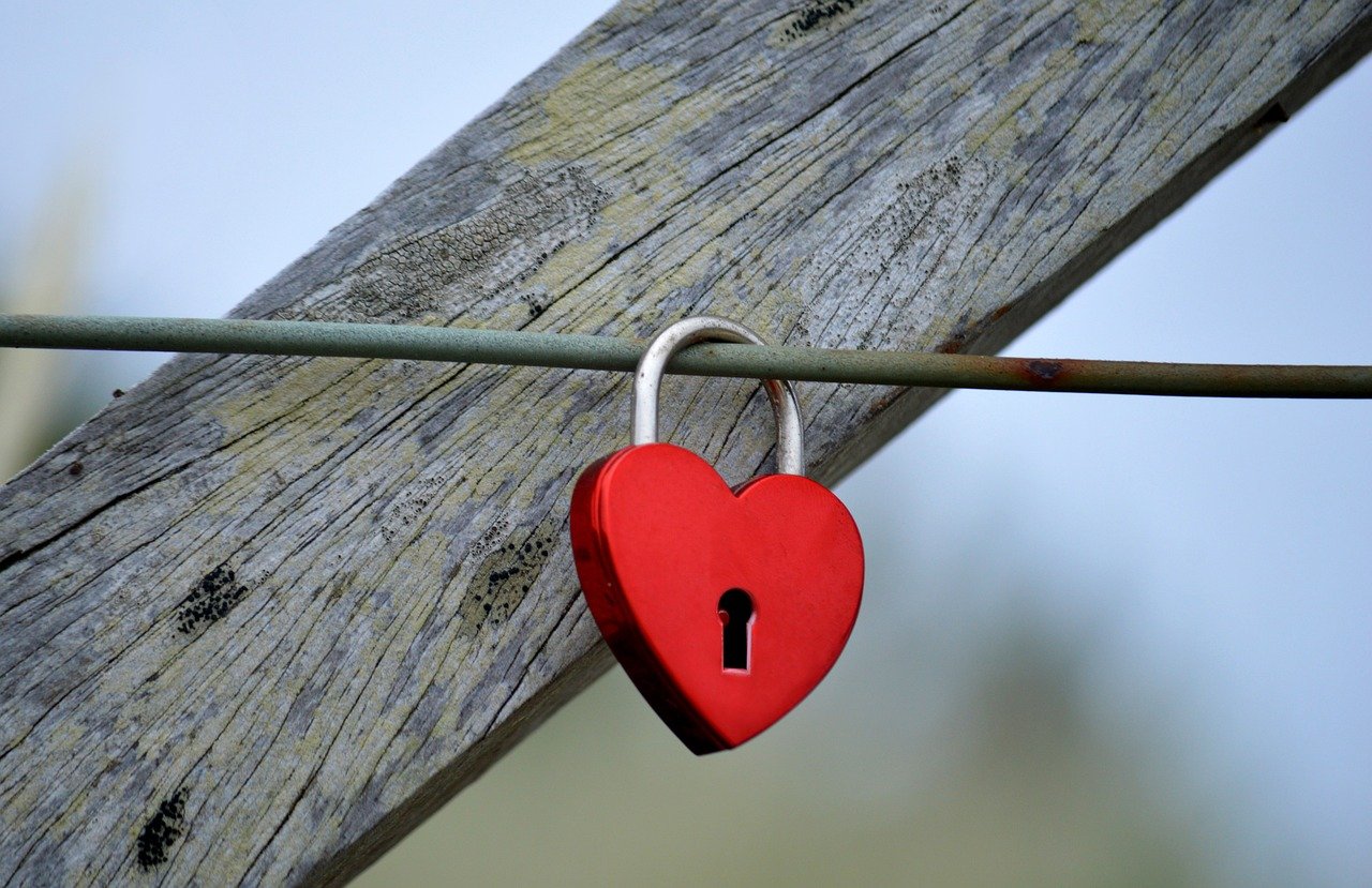 2号站家校通app详情下载教程