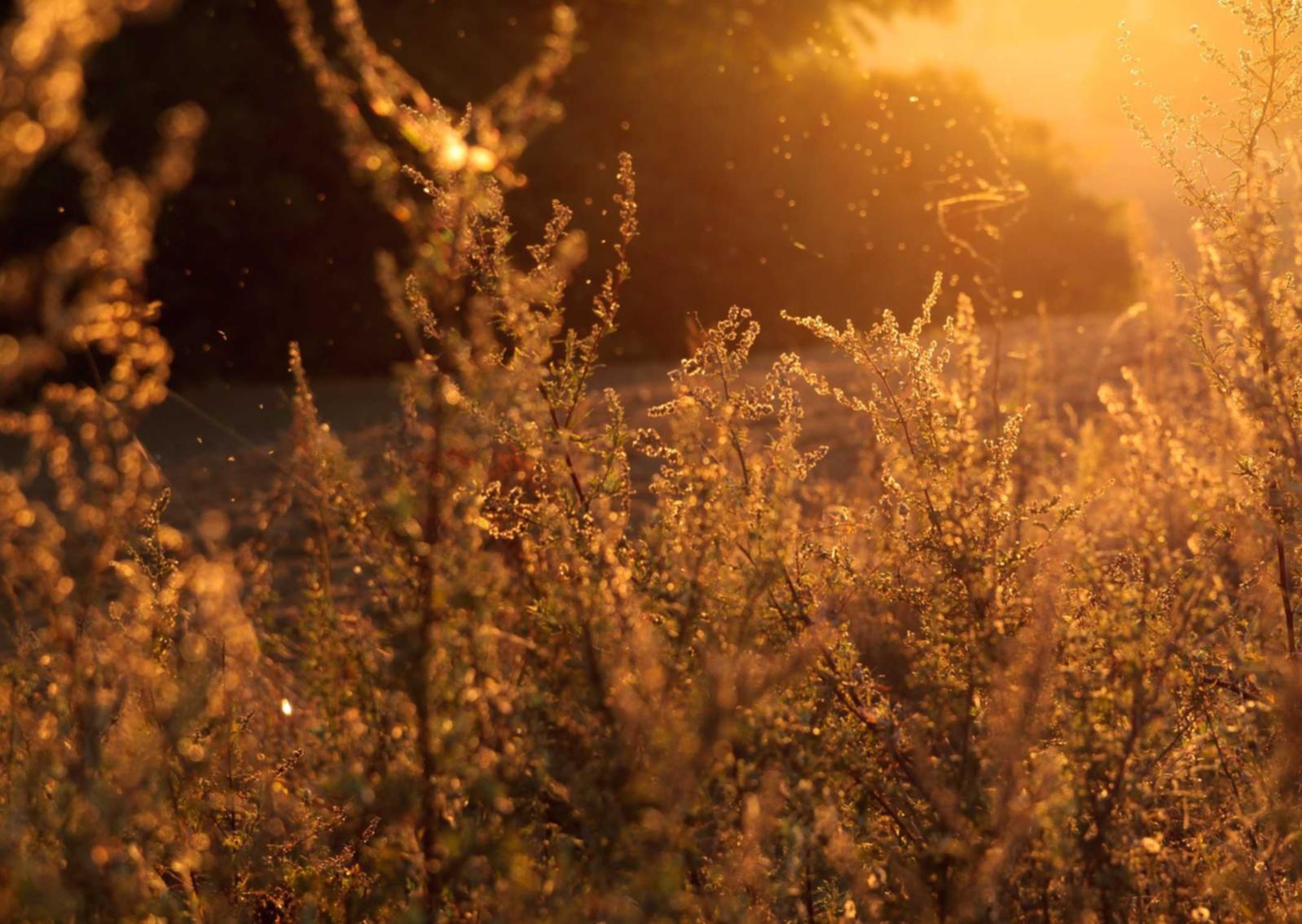 印尼卡- 霍林郭勒工商注册代理