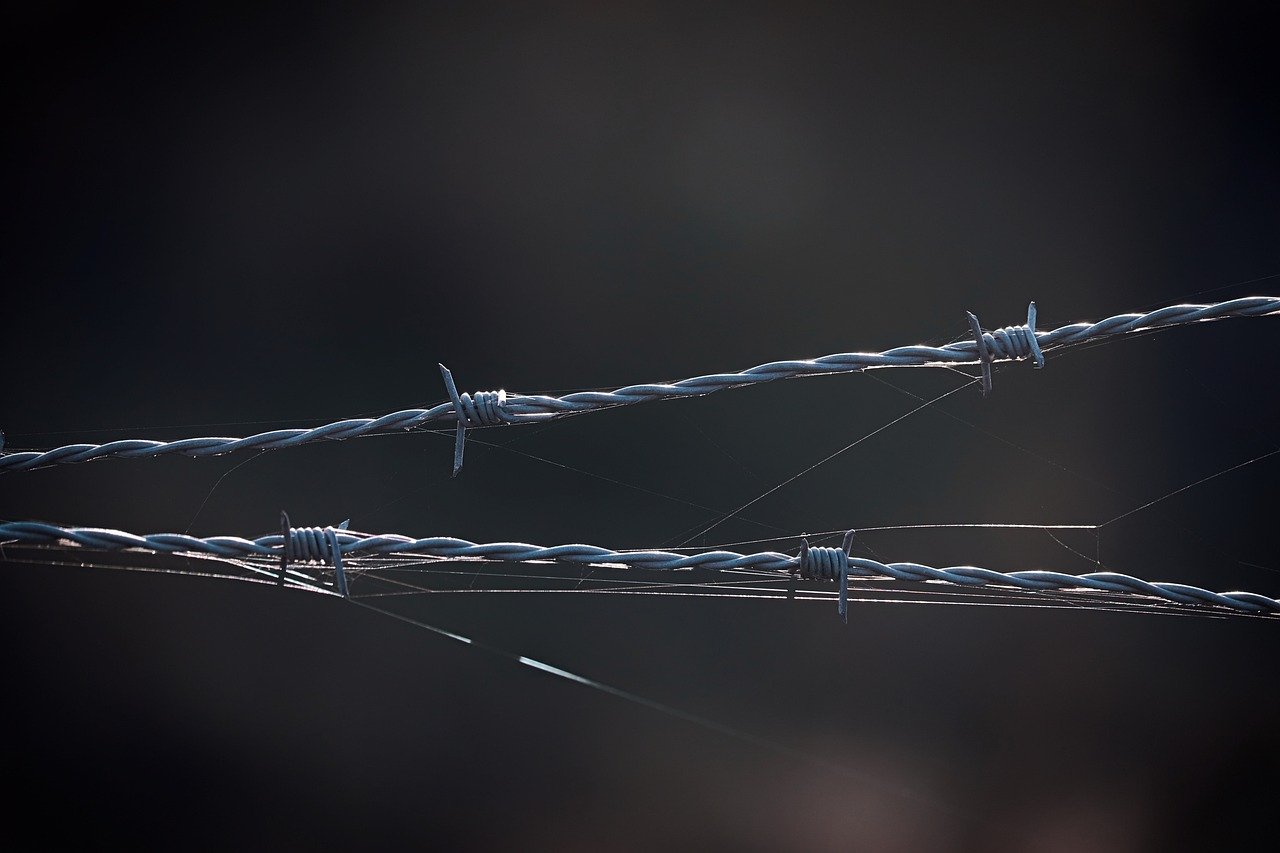 校园卡- 非凡万达详情下载教程app详情下载教程